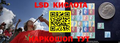 стафф Дубна
