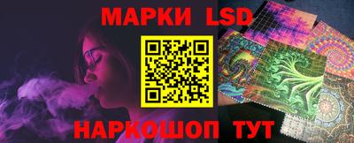 стафф Дубна