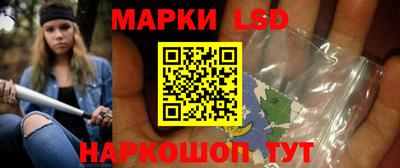 стафф Дубна